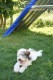 Thumbs/tn_Bild-01 042.jpg